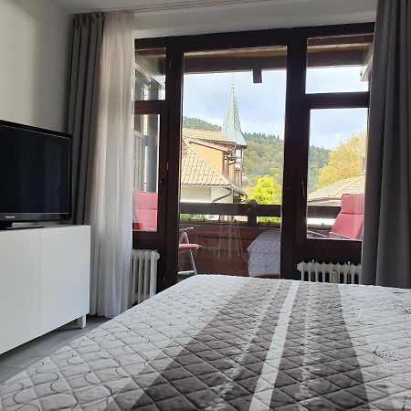 Gemuetliche Ferienwohnung Am Kurpark In Bad Herrenalb Luaran gambar